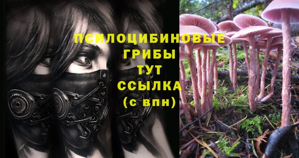 синтетический гашиш Михайловка