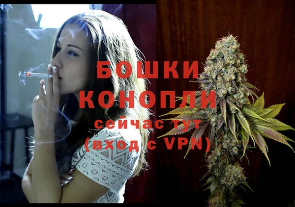 ГАЛЛЮЦИНОГЕННЫЕ ГРИБЫ Михайловск