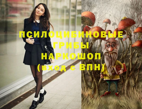 мяу мяу кристалл Бикин
