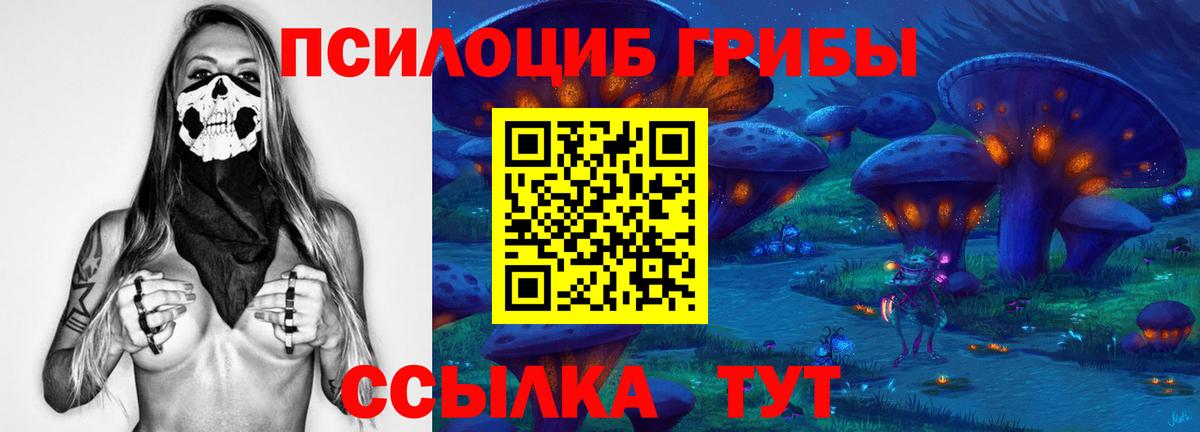 Псилоцибиновые грибы Magic Shrooms Нижний Новгород