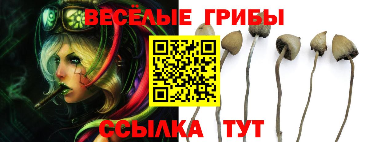 Нижний Новгород  Псилоцибиновые грибы ЛСД  Вход с VPN 